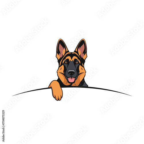 German Shepherd Dog Peeking Over A White Surface.