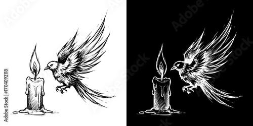 Bird with wings flying near candle flame, isolated vector image, two design options on transparent and black backgrounds, pencil drawing, chalk drawing
