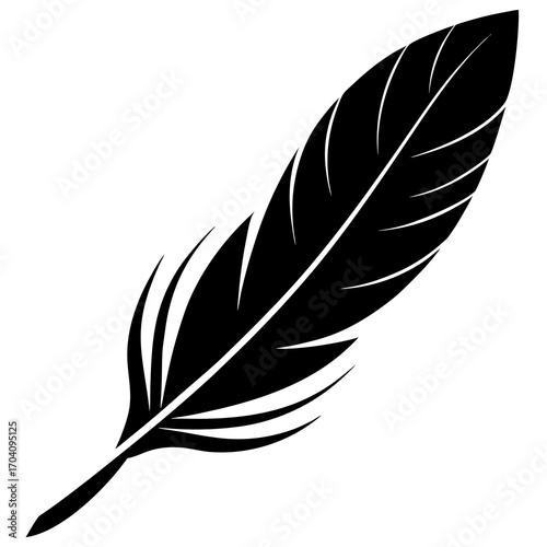 Black feather silhouette quill writing