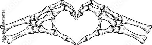 Skeleton hands howing heart shape. T-shirt print for Horror or Halloween. Hand drawing illustration isolated on white background. Vector 

