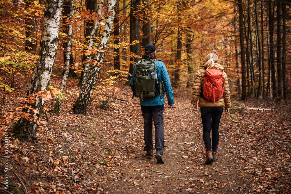 Hiking in autumn forest. Tourist couple with backpacks walking on trekking trail in woodland Hiking in autumn forest. Tourist couple with backpacks walking on trekking trail in woodland
