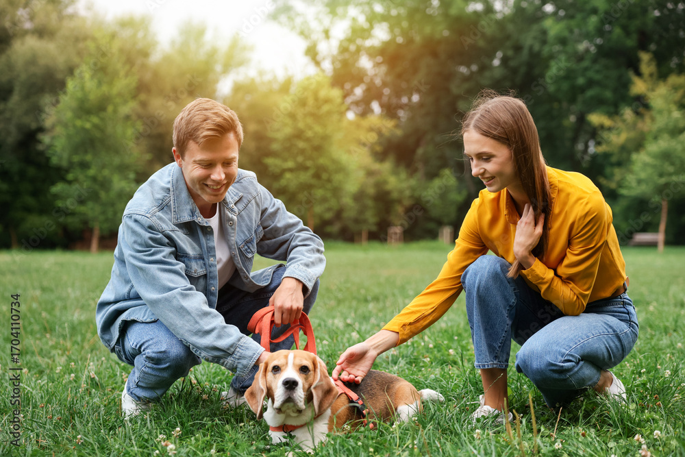 Obraz premium Couple spending time with adorable Beagle dog outdoors