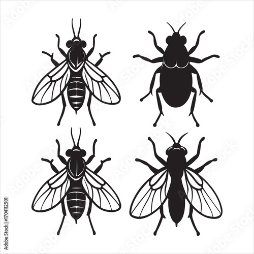 A Ubiquitous and Common Housefly Insect, a Nuisance Arthropod with Compound Eyes and Hairy Legs, a Vector of Disease and Filth, with a Gray Thorax and a Fascinating Macro Detail