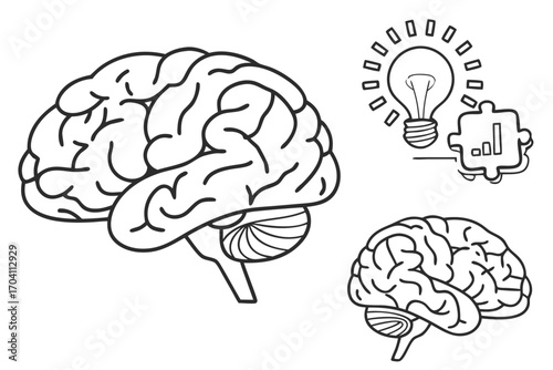 Brain power thinking idea concept creativity mind intelligence memory learning innovation solution focus on transparent background