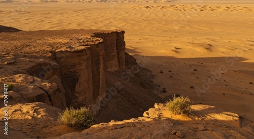 Edge of the World, Tuwaiq cliffs in Riyadh desert