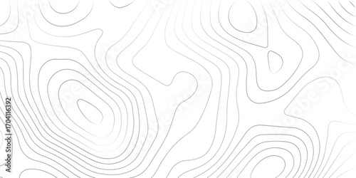 Modern abstract white background with topographic contour mapping and elevation line design for geographic artwork
