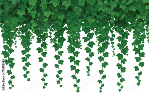 Hanging vines, green ivy, climbing plants, tropical foliage, decorative greenery, jungle creepers, nature design, vertical garden element, cartoon vector illustration