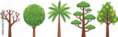 Cartoon trees, palm tree, fruit tree, bare tree, round tree, flat design forest, nature elements, vector illustration set, greenery