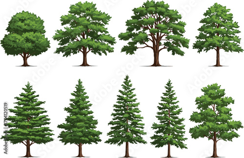 Realistic tree set, green deciduous trees, evergreen pine trees, summer nature collection, forest landscape elements, outdoor background illustration pack
