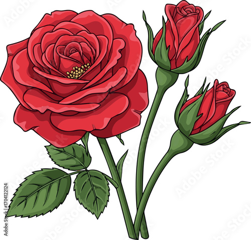 Need Rose flower set of blooming plant. Garden rose isolated icon of red blossom, petal and bud with green stem and leaf for romantic floral decoration, wedding bouquet and valentine greeting card.