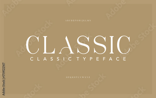 Classic premium luxury elegant alphabet letters and numbers. Vintage wedding typography classic serif font decorative vintage retro. creative vector illustration