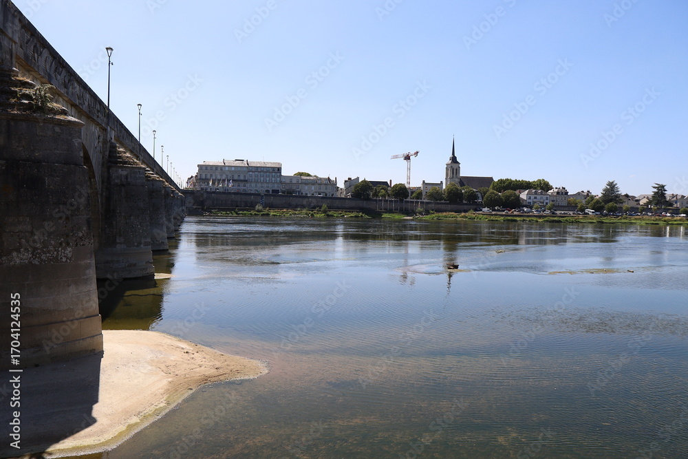 Fototapeta premium Le fleuve la Loire dans la ville de Saumur, ville de Saumur, département du Maine et Loire, France