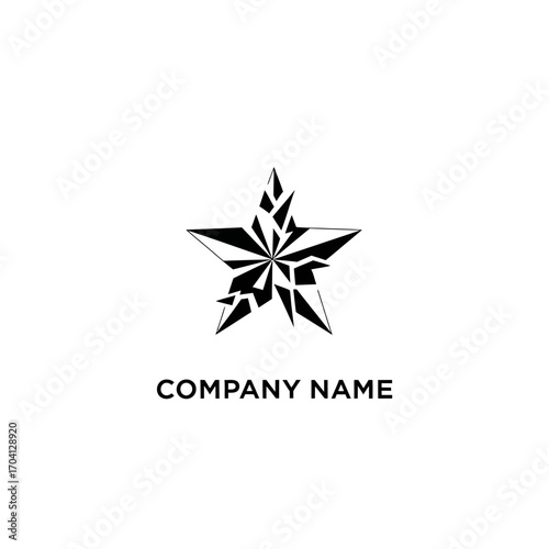 Abstract Shattered Star Logo Design.