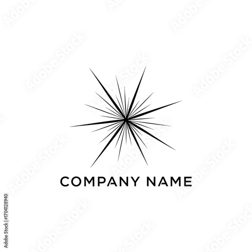 Abstract starburst logo design representing energy and innovation for a company.