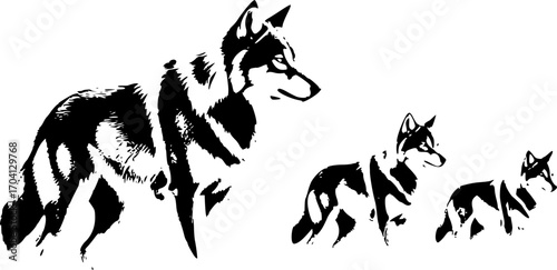 Black and white frame of a wild wolf, symbolizing strength and wilderness