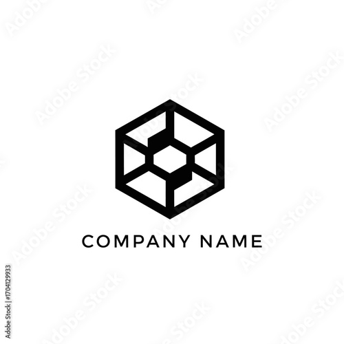 hexagonal geometric logo design.