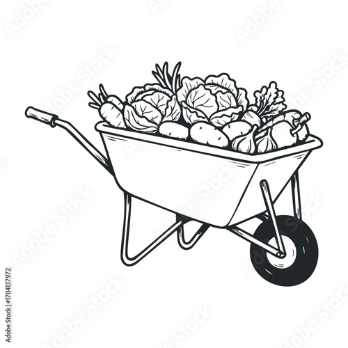 Harvesting fresh vegetables community garden still life urban environment close-up sustainable living. Vector illustration