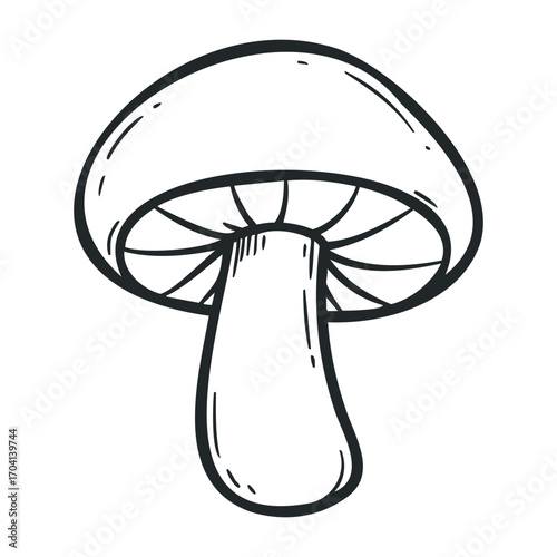 Exploring wild mushrooms nature's fungi outdoor discovery illustrated guide forest environment close-up view. Vector illustration