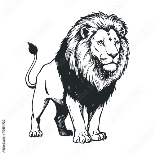 Majestic lion displaying strength savanna animal illustration natural habitat side view wildlife concept. Vector illustration