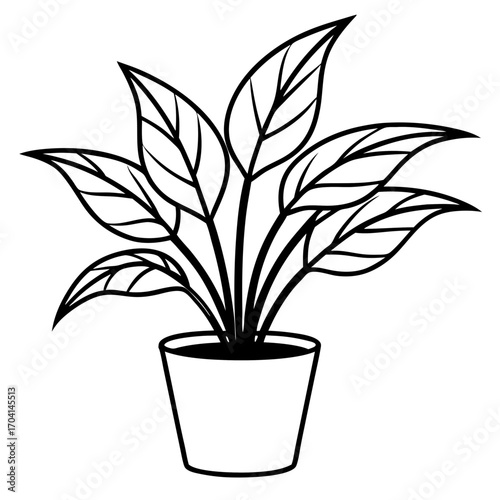 Modern Potted Plant Line Vector