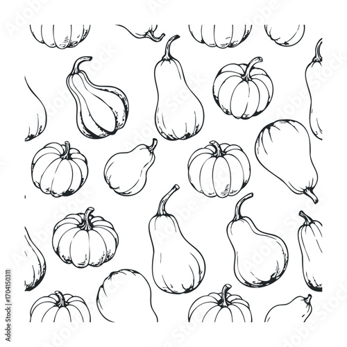 Artistic illustration of varied gourds and pumpkins kitchen decor digital art clean background aesthetic focus. Vector illustration
