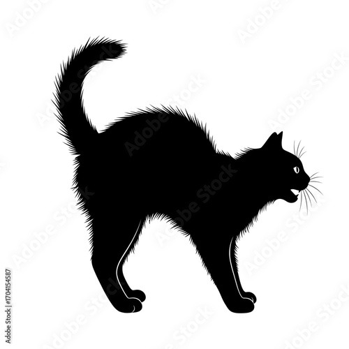 black cat vector