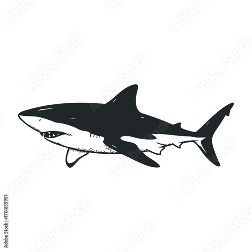 Exploring the ocean's apex predator shark illustration underwater digital art marine environment side view wildlife concept. Vector illustration