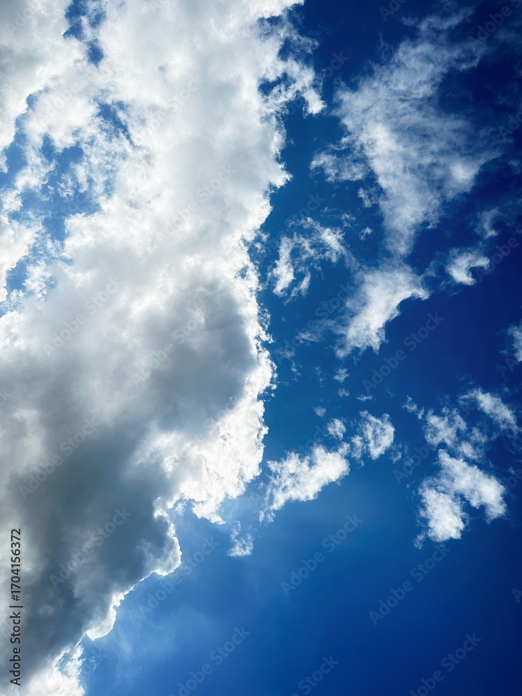 Fototapeta premium clouds in the sky