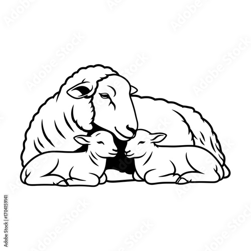 Gentle Sheep with Lambs Resting Together in Pasture - Animal Illustration in Natural Setting