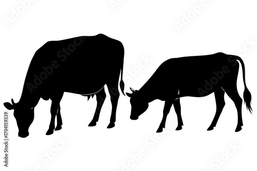 cow grazing silhouette vector isolated on white background