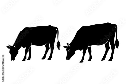 cow grazing silhouette vector isolated on white background