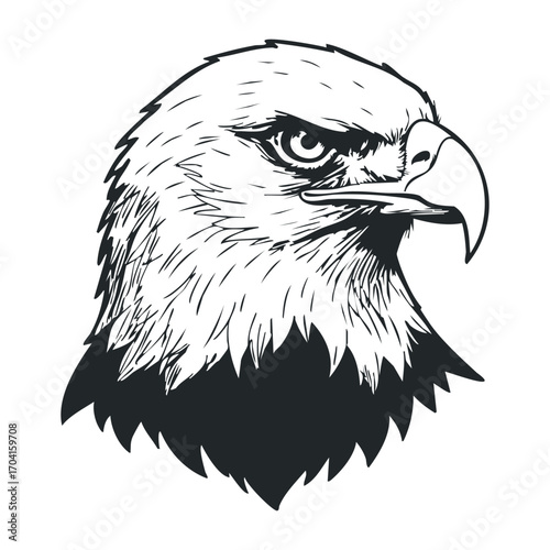 Eagle portrait illustration wildlife art graphic design artistic environment view nature concept. Vector illustration
