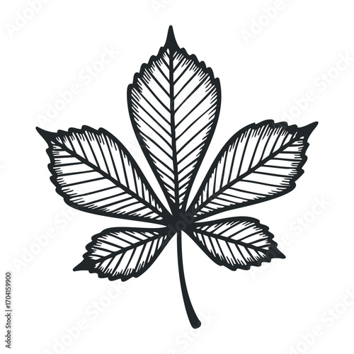 Exploring nature's art detailed black and white leaf illustration digital artwork studio environment creative perspective. Vector illustration