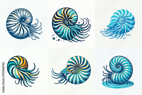 collection of Nautilus Shell Illustration