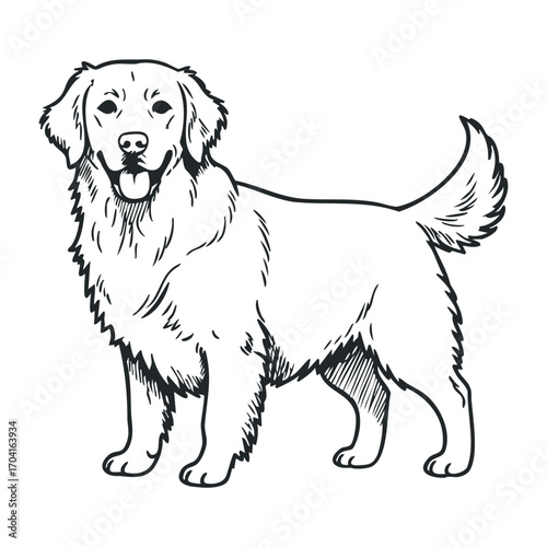 Playful golden retriever dog portrait home environment illustration cheerful atmosphere view pet concept. Vector illustration