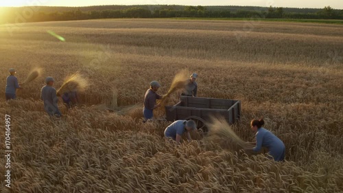 Farm workers gather wheat by hand at sunset, tossing sheaves into a wooden cart amid golden fields and soft wind.