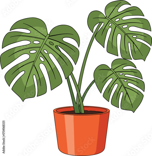 Monstera plant, fenestrated leaves, indoor greenery, orange pot, houseplant decor, tropical foliage, flat vector, silhouette, cad drawing