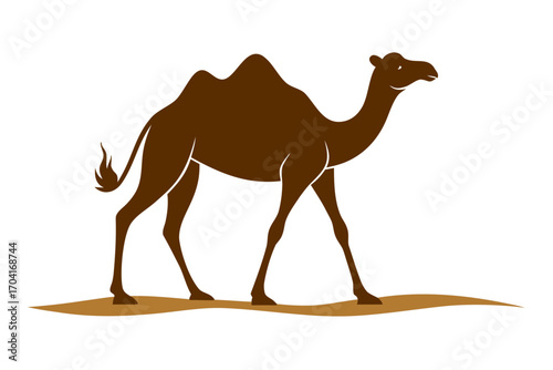Camel walking in desert silhouette vector isolated on white background