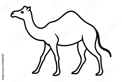 line art Camel walking in desert silhouette vector isolated on white background