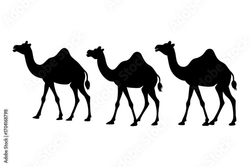 set of Camel walking in desert silhouette vector isolated on white background