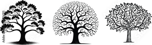 Vector Drawing of an Oak Tree.