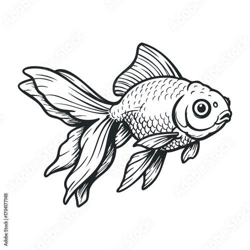 Swimming goldfish in a home aquarium illustrative art indoor space view nature concept. Vector illustration
