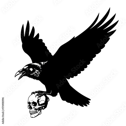 Raven holding a skull in its talons silhouette isolated on white background