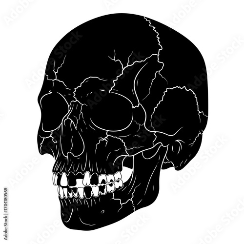 Cracked human skull silhouette isolated on white background