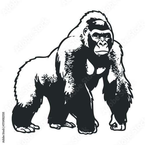 Gorilla encounter wildlife sanctuary animal photography natural habitat conservation awareness. Vector illustration