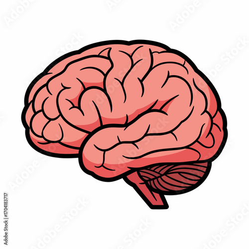Stylized cartoon human brain illustration as a symbol of mind, thought, and intelligence