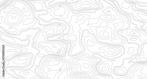 White wave paper curved reliefs abstract background, Abstract topographic contours map background, Topography map background. Vector geographic contour map. 