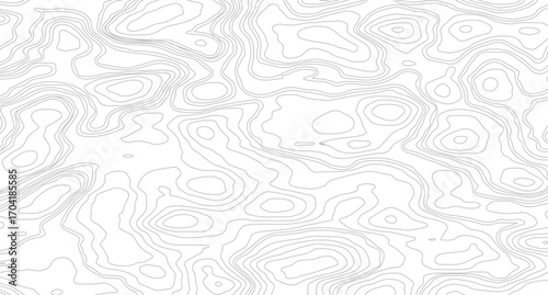 White wave paper curved reliefs abstract background, Abstract topographic contours map background, Topography map background. Vector geographic contour map. 