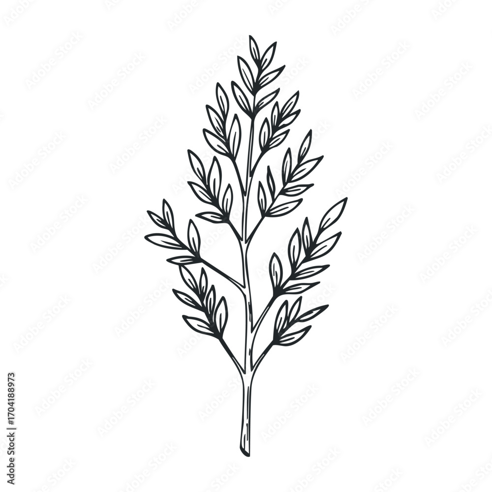 Fototapeta premium Botanical illustration of a leafy plant nature graphic design minimalist style artistic concept. Vector illustration