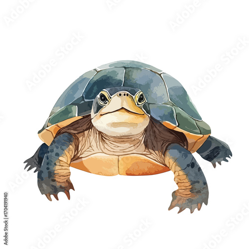 Detailed Illustration of a Turtle with Intricate Shell Patterns